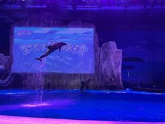 -华夏文旅海洋公园