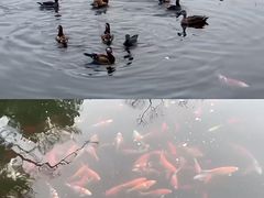 -西湖天地