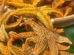 -一方渔歌蒸汽海鲜自助(文化路万达广场店)