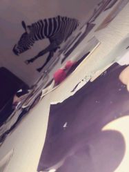 -onE Nice造型