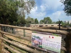 -青藏高原野生动物园