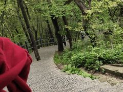 -紫金山山顶公园