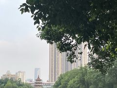 -宝岛公园