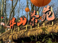 -伴山茶苑·围炉煮茶