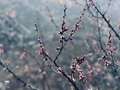 -白河堡水库