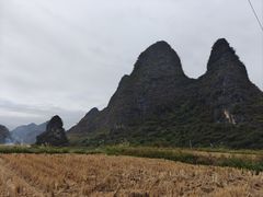-钟山水墨田园
