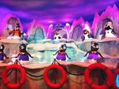 -帝企鹅自助餐厅•儿童岛•真企鹅(长隆企鹅酒店)