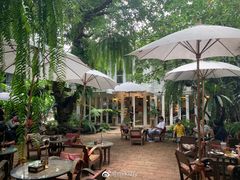 -Fern Forest Cafe