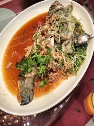 -喜爱轩酒楼·宴会厅