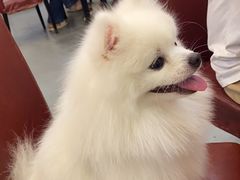 -吉源大排档·鱼生·海鲜(烧烤彩印厂店)