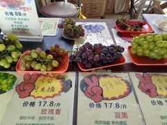 -马陆小张葡萄园农家乐