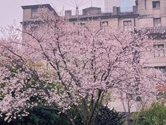 -武汉美术馆(汉口馆)