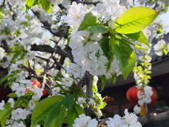 -元大都城垣遗址公园