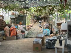 -马陆小张葡萄园农家乐