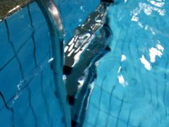 -北京八中游泳馆