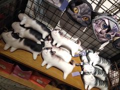 -猫咪博物馆(顶澳仔猫街店)