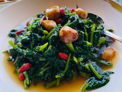 上汤豆苗-金轩中餐厅 Jin Xuan(浦东丽思卡尔顿酒店)