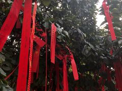 -西安青龙寺遗址景区