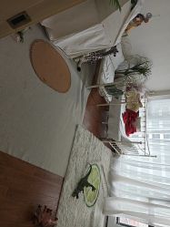 -纸飞机儿童摄影·底片全送