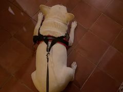 -La Tavernetta(Bar à Vin)(乌鲁木齐路店)