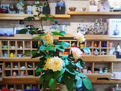 -今日陶艺(富力广场店)