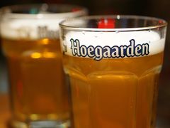 拳击猫扎啤-1819餐厅·团队聚餐·烤串·精酿