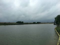 -合肥滨湖国家森林公园