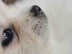 -宝龙广场(蓬莱区)