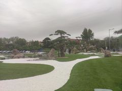 -罗红摄影艺术馆