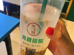 甜醅-德禄酸奶(莫家街店)