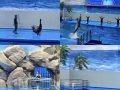 -福州罗源湾海洋世界旅游区