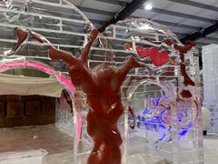 -宁波冰雪大世界(北仑区)