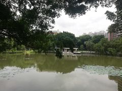 -人民公园(罗湖区)