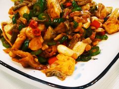 卜豆角炒藕尖-东方红酒楼(知春路店)