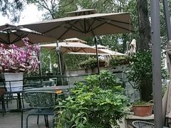 -蘇河湾·新鲁菜·泰山宴(泰山店)
