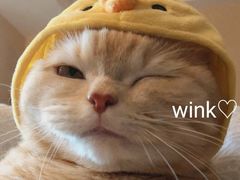 -大玩家(大连高新万达店)