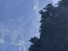 -王莽岭风景区