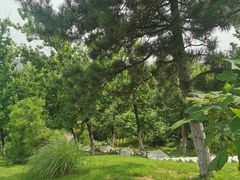 -莫子山公园