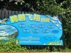 -广州长隆野生动物世界