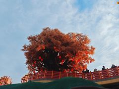 -中华郡文化旅游景区