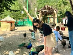 -水上乐园·欢乐世界