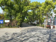 -海底捞火锅(天一广场亚细亚店)