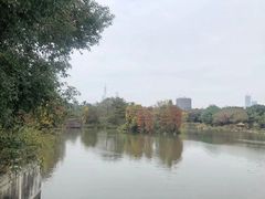 -海珠湖公园