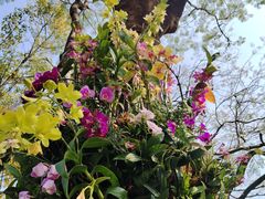 -人民公园(罗湖区)