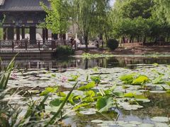 -舍利塔滩地公园-无垢净光舍利塔