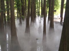 -东湖落雁景区
