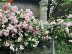 -老门东历史文化街区