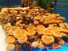 -V-ONE西雅图海鲜自助餐厅(仓山万达广场店)