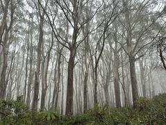 -秦岭终南山世界地质公园翠华山景区