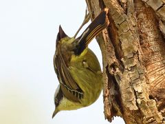 -白鹭湾湿地公园